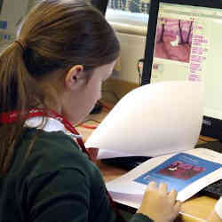 Girl in a U.K. school working at a computer. 