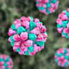 Smartphone App Can Detect Tiny Amounts of Norovirus in Water