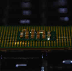 Intel CPU chips.