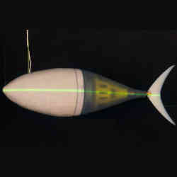 The tunabot, an artificial yellowfin tuna.