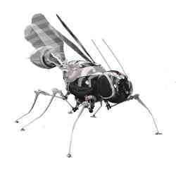 A concept design of a fly robot.