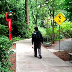 A DreamWalker uses walks through a park while navigating a virtual environment.