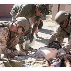 Navy sailors assess a simulated casualty.