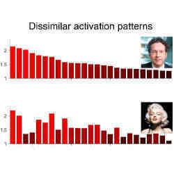 A pair of face images that elicited dissimilar neuronal activation patterns.