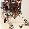 This MIT Robot Wants to Use Your Reflexes to Walk and Balance