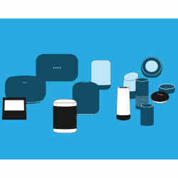 A variety of voice assistant products. 