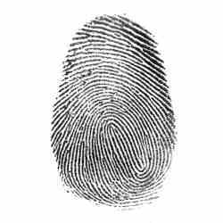 A fingerprint.