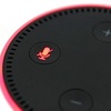 Team of 'White Hat' Hackers Found Bugs in Amazon Echo, Galaxy S10
