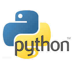 A Python logo.