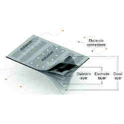 A schematic diagram of the fundamental ElectroSkin design showing regions powered for electroadhesion and actuation.