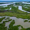 Wetlands, Crops Can Mitigate Storm Damage to Coastal Cities