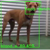 New AI Dog Trainer Uses Computer Vision and a Treat Launcher