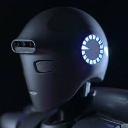 Humanoid Robot