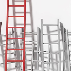 Ladders 