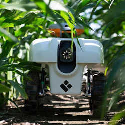 A Robot Driving Through Fields