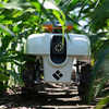 A Growing Presence on the Farm: Robots