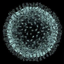 3D rendering of virus cells