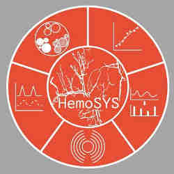 The HemoSYS logo.
