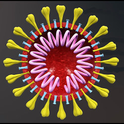 uncoated coronavirus, illustration