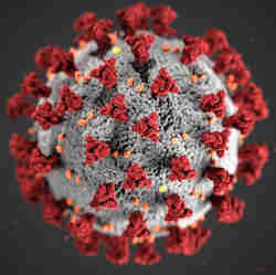 The coronavirus.