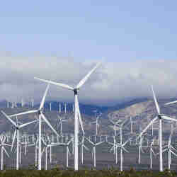 A wind farm.