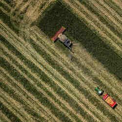 Workers on a farm.