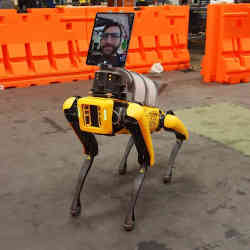 The Spot robot dog. 