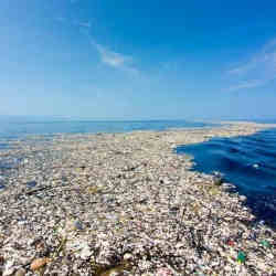 Part of the Great Pacific Garbage Patch.