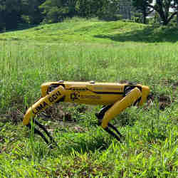 Boston Dynamics' robot, nicknamed "Spot."