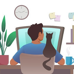 man works at computer with a cat