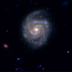 A Hubble Space Telescope image of a large disk galaxy.