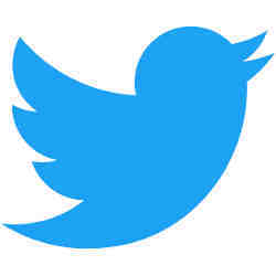 The Twitter logo.