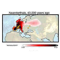 Computer simulation of the population density of Neanderthals 43,000 years ago.