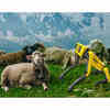 Boston Dynamics' Robodog Roams New Zealand Countryside for Sheep Herding