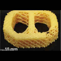 The honeycomb lattice of the cartilage replacement material. 