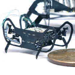 The HAMR-Jr cockroach-inspired robot is only slightly bigger in length and width than a penny.