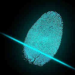 The biometric security systems incorporate iris, face, and fingerprint recognition capabilities.