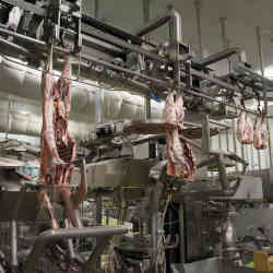 A robotic meat-cutting system.