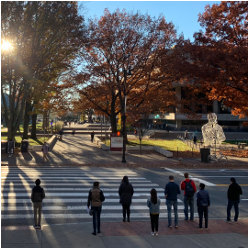 MIT students waiting to cross the road