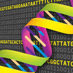 Artist's conception of DNA data storage. 