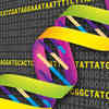 Power of DNA to Store Information Gets an Upgrade