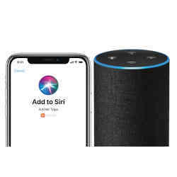 Voice assistants Siri (left) and Alexa.