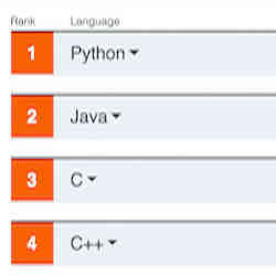 The top programming languages in the current ranking.