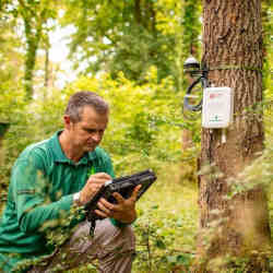 Matthew Wilkinson from Forest Research setting up tree sensors.