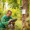 IoT Technology to Help Trees Fight Climate Change