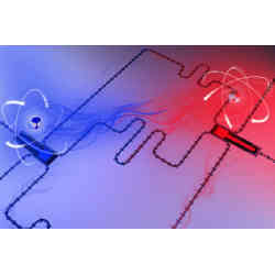 Two superconducting qubits acting as giant artificial atoms.