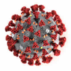 The coronavirus.