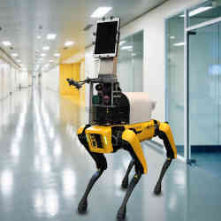 Robot Spot, who measures patients' vital signs without contact, in the halls of Boston's Brigham and Women's Hospital.