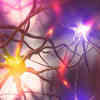 Scientists Model Neural Activity From Living Human Cells on Brain-on-a-Chip Devices