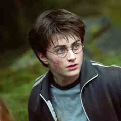 Daniel Radcliffe as Harry Potter in the blockbuster movie series. 